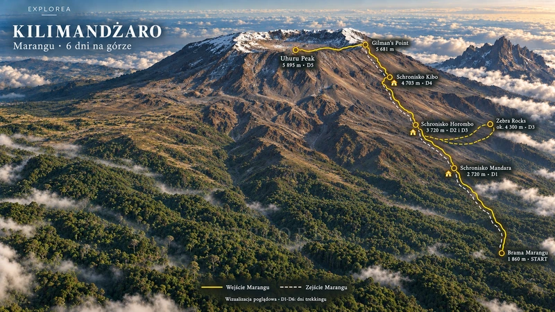 Wizualizacja trasy Marangu · 6 dni: obozy, wejście na Uhuru Peak i zejście