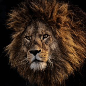Tanzania