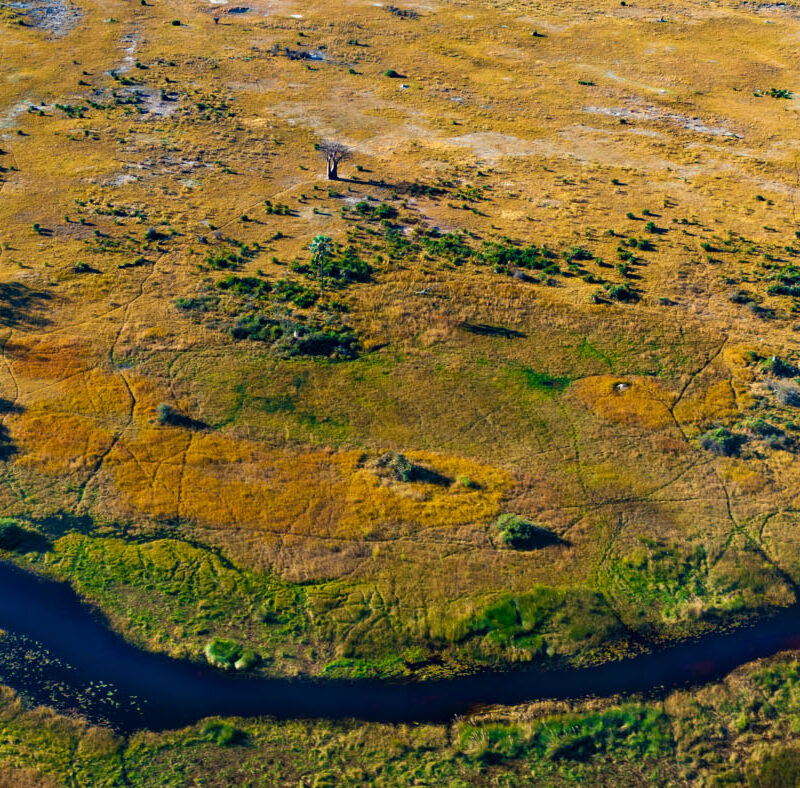Botswana & Wodospady Wiktorii