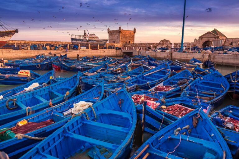 Program wyprawy Maroko – dzień 11: Essaouira - Marrakesz - medyna i pożegnanie