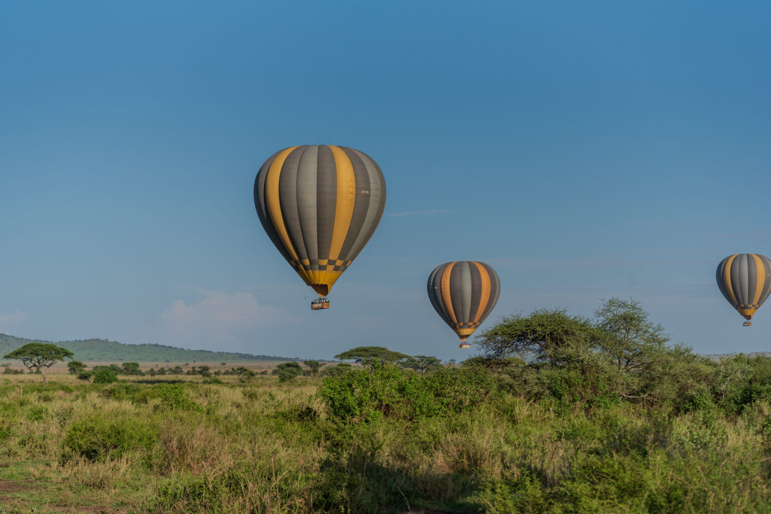 Balony nad afrykańską sawanną