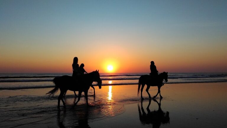 Program wyprawy Maroko – dzień 10:  Essaouira - ocean, wiatr, riff